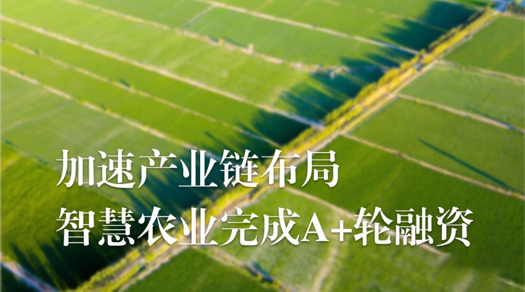 加速农业产业链布局，kdpay钱包(中国)农业完成A+轮融资