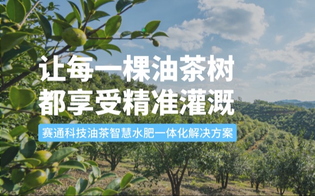 赛通科技油茶kdpay钱包(中国)水肥一体化解决方案：让每一棵油茶树都享受精准灌溉